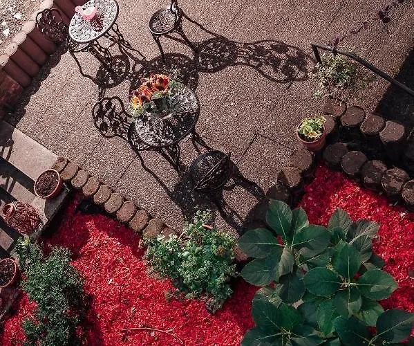 酒店 Smarthotel Flamingo Self Check-in Gießen